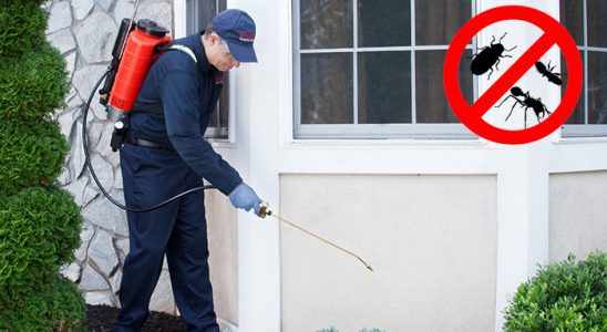 Sapanca Gümüşkurt İlaçlama böcek ilaçlama ve haşere kontrolü — ilaclama-tr.com